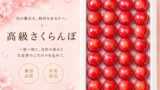 高級さくらんぼ