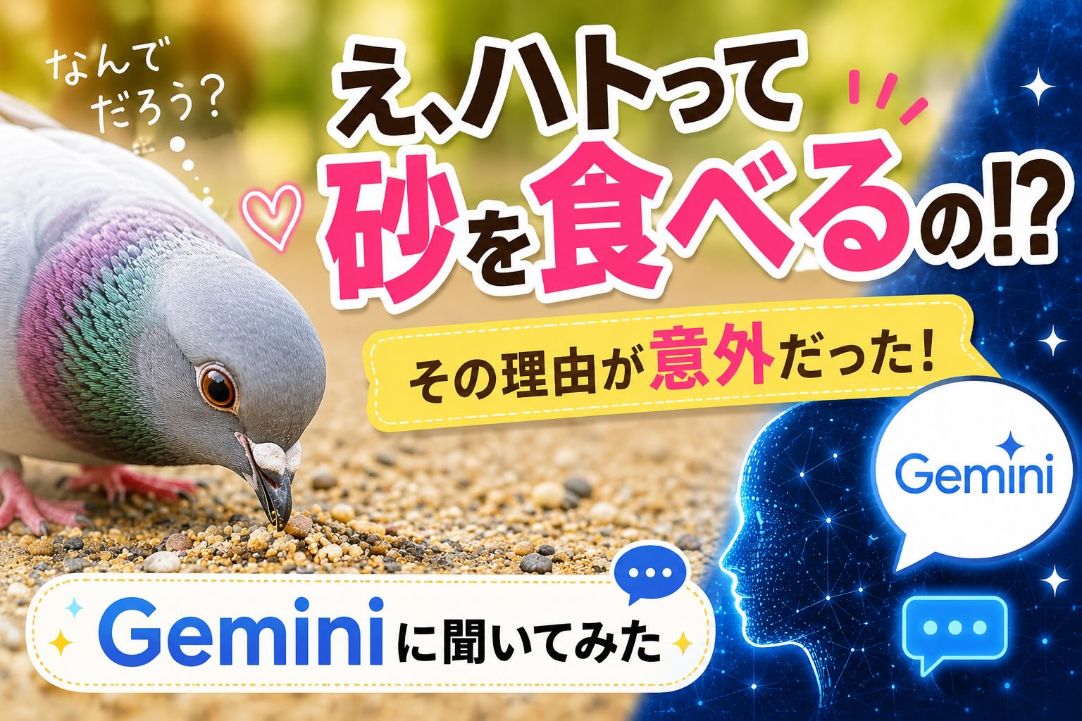 ハトが砂を食べる！？