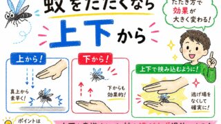 蚊をたたくなら上下から