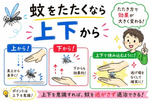 蚊をたたくなら上下から
