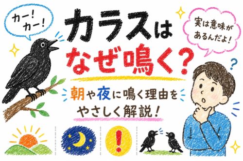 カラスなぜ鳴く